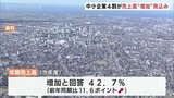 中小企業の4割以上 “売上増加” を見込む 富山県商工会連合会のアンケート|TBS NEWS DIG