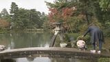 連休最終日も雨の金沢…「文化の日」国の特別名勝・兼六園は無料開園|TBS NEWS DIG