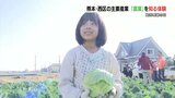 「お好み焼きとかタコ焼きにする」小学生がキャベツの収穫など“農業体験”　種植えした野菜は来年収穫・販売へ　|　熊本のニュース｜RKK NEWS｜RKK熊本放送