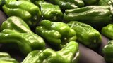 主力のピーマンは2100トンの出荷目標 岩手・奥州市で「夏野菜」出発式|TBS NEWS DIG