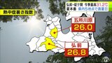 暑い青森 弘前と平川市碇ケ関で31.2℃を観測など5地点で「真夏日」 弘前と五所川原の『暑さ指数』は県内初の25以上「警戒」の値 夏本番も間近|TBS NEWS DIG