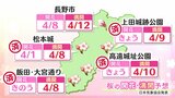 「天下第一の桜」高遠城址公園で開花宣言 10日に満開か 長野市の開花は8日 満開は12日を予想 松本城、飯田大宮通りは8日に満開へ|TBS NEWS DIG