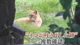 毒物混入か　危険なネコのエサ　地域ネコの見守り活動の場所で発見　おう吐の跡も　山梨|TBS NEWS DIG
