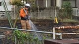 「枯れ草が燃えて建物に燃え移りそう」畑の枯れ草を焼く火事「草を集めて燃やしていたら…」 広島・西区|TBS NEWS DIG