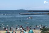 「伝統を心に」「持ち味出したい」いざ12kmの海へ 静岡商4人で挑む初島・熱海間団体競泳【前編】 | 静岡のニュース | SBSNEWS | 静岡放送