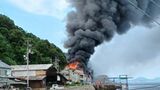瀬戸内海の伊吹島でイリコの加工場が全焼 鉄骨3階建て約1500平方メートル 全員逃げ出しけが人はなし【香川】|TBS NEWS DIG