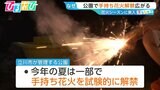 「公園での手持ち花火」解禁広がる　“皆が納得できるルール作りがカギ”【ひるおび】|TBS NEWS DIG
