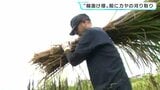 6月30日は夏の伝統行事“輪抜け様”　神職や氏子などが神事に使われる「茅の輪」の材料カヤの刈り取り|TBS NEWS DIG
