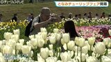 2026となみチューリップフェア開幕…350万本の絶景に感動！大花壇の地上絵など見どころいっぱいの春満喫　富山・砺波市|TBS NEWS DIG