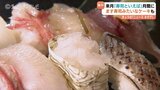 ますのすしケーキも登場! 11月を「寿司といえば、富山」月間に イタリアンやスイーツ店が独創的な寿司を提供  | 富山のニュース|天気・防災|チューリップテレビ