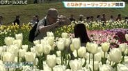 2026となみチューリップフェア開幕…350万本の絶景に感動！大花壇の地上絵など見どころいっぱいの春満喫　富山・砺波市　|　富山のニュース｜天気・防災｜チューリップテレビ