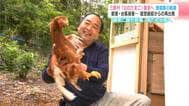 獣害・台風被害…経営破綻からの再出発　高知県三原村「幻のたまご」復活へ　養鶏家の軌跡　|　高知のニュース・天気｜KUTV NEWS | KUTVテレビ高知