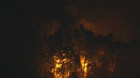 【速報】山林火災　新たに64世帯 、125人に避難指示　山梨・上野原市|TBS NEWS DIG