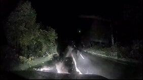 【動画】クマが車に体当たりしボンネット破損 夜の道路で親子グマに遭遇し停車した軽乗用車を襲う けが人なし 北海道美深町|TBS NEWS DIG