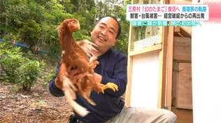 獣害・台風被害…経営破綻からの再出発 高知県三原村「幻のたまご」復活へ 養鶏家の軌跡 | 高知のニュース・天気|KUTV NEWS | KUTVテレビ高知