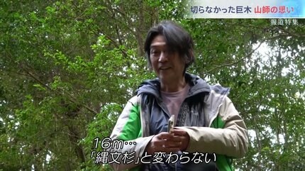 縄文杉より大きい木が、何本も残っている」屋久島、未知の巨木が残る