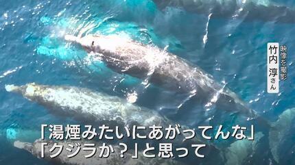 湯煙みたいに上がってんな、クジラか？」富山湾沖合20キロで群れる