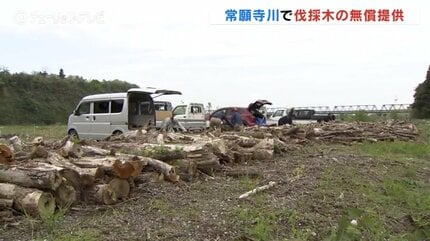 無償提供の薪が人気！河川敷で伐採した樹木の処分費用の削減そして資源