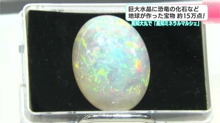 巨大水晶に恐竜の化石など地球が作った宝物が約15万点！ 高知大丸で