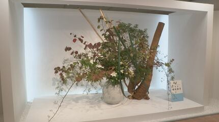 伝統の「松月堂古流いけばな展」はじまる 季節の移ろい 中秋の名月を