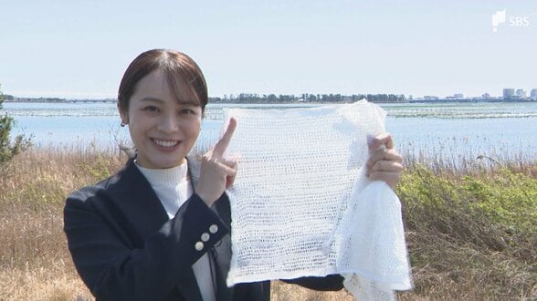 紙を混ぜた珍しいタオルが復活 伝統の「からみ織り」で肌に優しく 遠州織物の文化を絶やさないための事業承継【しずおか産】　|　静岡のニュース | SBSNEWS | 静岡放送