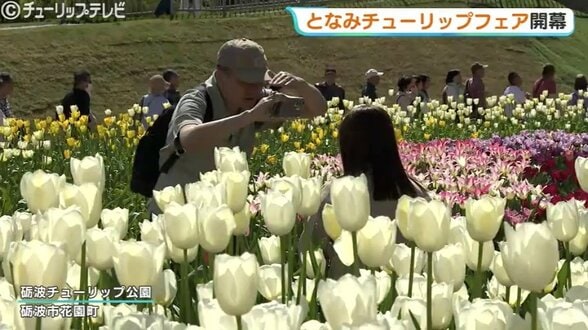 2026となみチューリップフェア開幕…350万本の絶景に感動！大花壇の地上絵など見どころいっぱいの春満喫　富山・砺波市　|　富山のニュース｜天気・防災｜チューリップテレビ