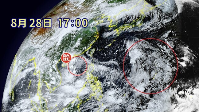 【台風情報】新たな“台風の卵”発生か  この先は日本に接近しやすい状況に 太平洋高気圧の隙をついて熱帯低気圧が北上する可能性も  8月の台風発生数は“やや少ない”？  最新の雨シミュレーション|TBS NEWS DIG