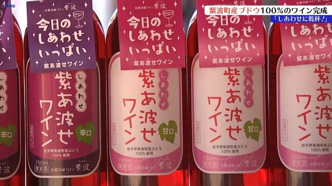 ブドウの品質にも恵まれ、良い味わいに　100％紫波町産ブドウ使用　紫あ波せワイン発表会　岩手|TBS NEWS DIG