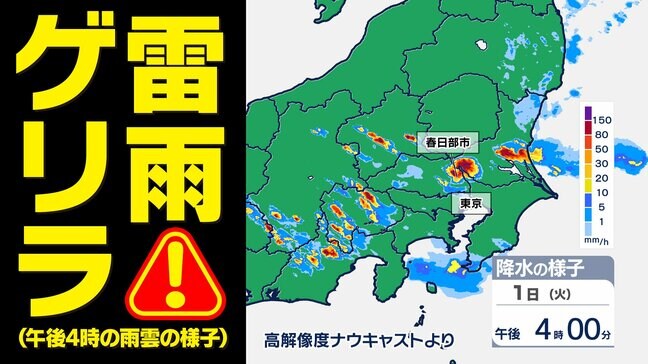 【東京首都圏 ゲリラ雷雨に注意】竜巻 非常に激しい雨のおそれ【雨・発雷確率のシミュレーション7月1日(火)~2日(水)】気象庁発表を詳しく 東京・神奈川・埼玉・千葉・群馬・栃木・茨城「大雨情報 」|TBS NEWS DIG