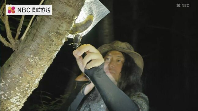 「昆虫採集は一番キャッチーな遊び」生物ライターによる昆虫観察会【長崎県対馬市】|TBS NEWS DIG