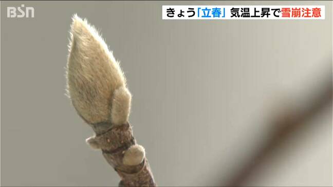 きょうは立春　新潟県内は3月並みの陽気に　最高気温が10℃超えるところも　雪崩に注意|TBS NEWS DIG