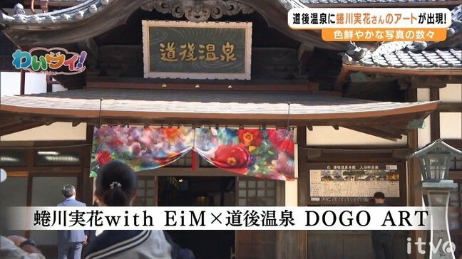 温泉街が“蜷川ワールド”に! 「蜷川実花with EiM×道後温泉 DOGO ART」開幕 愛媛・松山市|TBS NEWS DIG