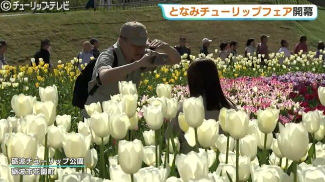 2026となみチューリップフェア開幕…350万本の絶景に感動！大花壇の地上絵など見どころいっぱいの春満喫　富山・砺波市|TBS NEWS DIG