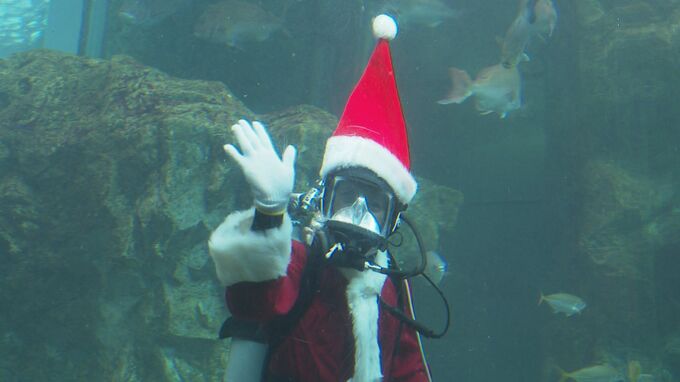 「あわてんぼうのサンタクロース」登場　山口県下関市の海響館でクリスマスイベント　|　山口のニュース・天気・防災｜tys NEWS｜ｔｙｓテレビ山口