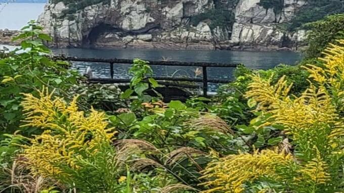 【速報】焼け跡から2人の遺体　50代・70代の親子か　五島市奈留島|TBS NEWS DIG