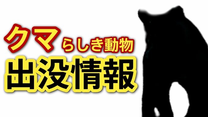 「１ｍぐらいの熊のようなものが…」広島市佐伯区でクマらしき動物の目撃情報が相次ぐ　けが人や物的被害はなし|TBS NEWS DIG