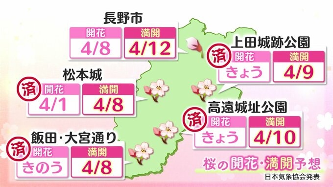 「天下第一の桜」高遠城址公園で開花宣言 10日に満開か　長野市の開花は8日 満開は12日を予想　松本城、飯田大宮通りは8日に満開へ|TBS NEWS DIG