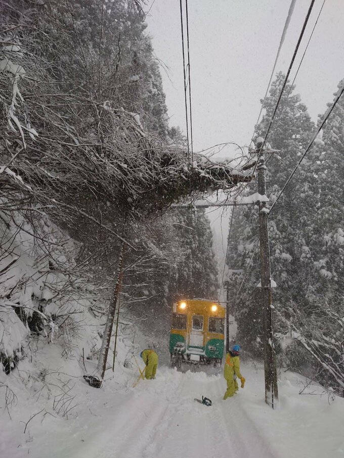 【交通情報】富山地鉄「倒木」で一部運休 代行バス運行 立山線は最大20分程度の遅れ【県内10市町に大雪警報】　|　富山のニュース｜天気・防災｜チューリップテレビ