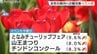 富山県の観光客数が4000万人を突破　外国人宿泊数は54.5％急増、NYタイムズ効果などで環水公園やガラス美術館が盛況　|　富山のニュース｜天気・防災｜チューリップテレビ