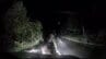 【動画】クマが車に体当たりしボンネット破損 夜の道路で親子グマに遭遇し停車した軽乗用車を襲う けが人なし 北海道美深町　|　北海道のニュース｜HBC北海道放送