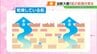 「実はまだまだ要注意」冬だけじゃない、春も“乾燥肌”対策を　|　福島のニュース│TUF