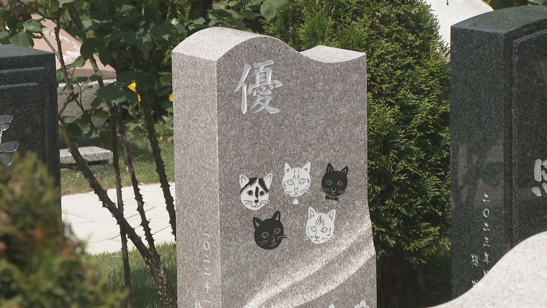 あの世でも愛犬や愛猫と一緒に」 金沢の寺に家族とペットの共葬墓が
