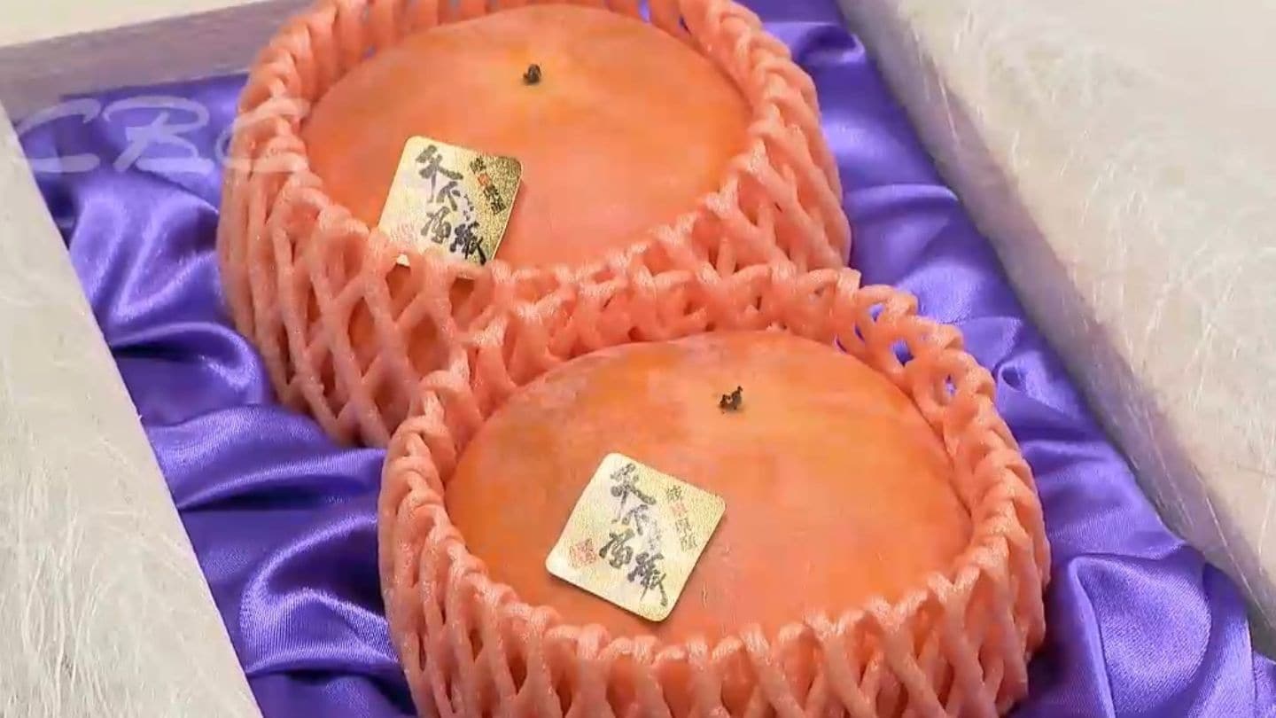 柿2個で100万円 織田信長にちなんだ岐阜県産ブランド｢天下富舞｣ 初競り 最高ランク「天下人」は甘さと重さが揃った逸品