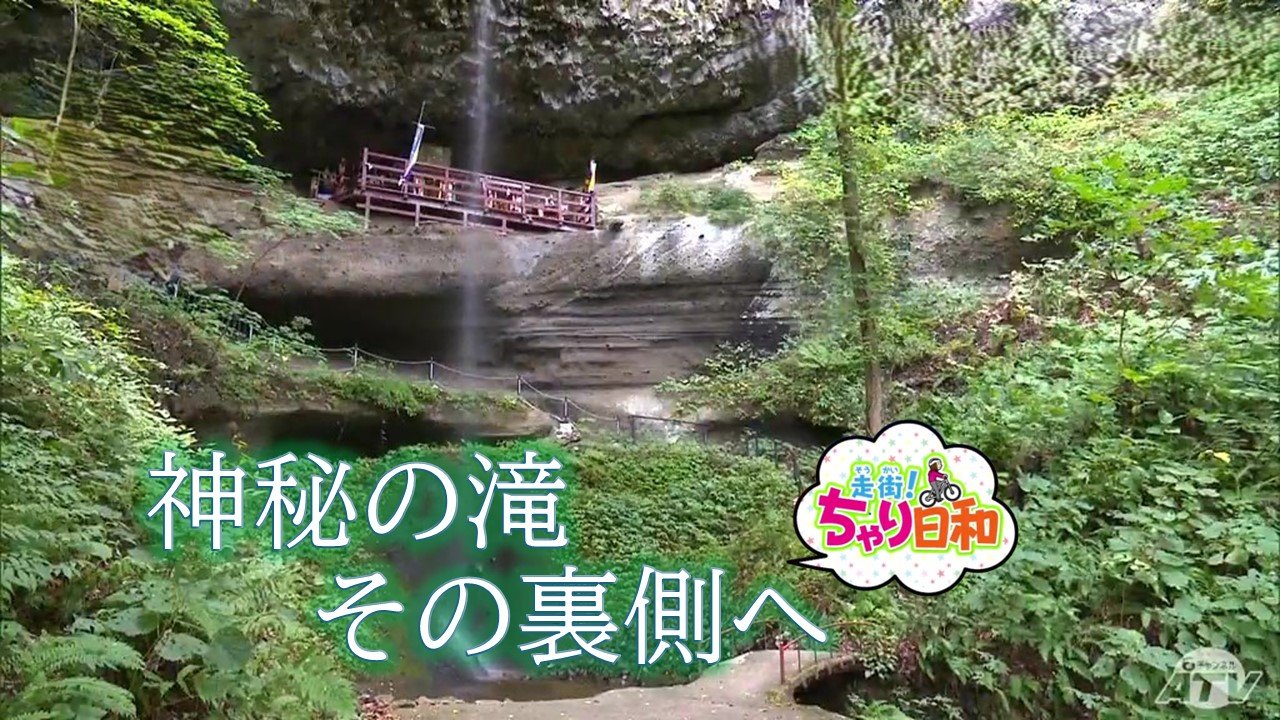 何度来てもすごいわ、ここ」高さ33メートル！“滝の裏側”と「招き猫」が