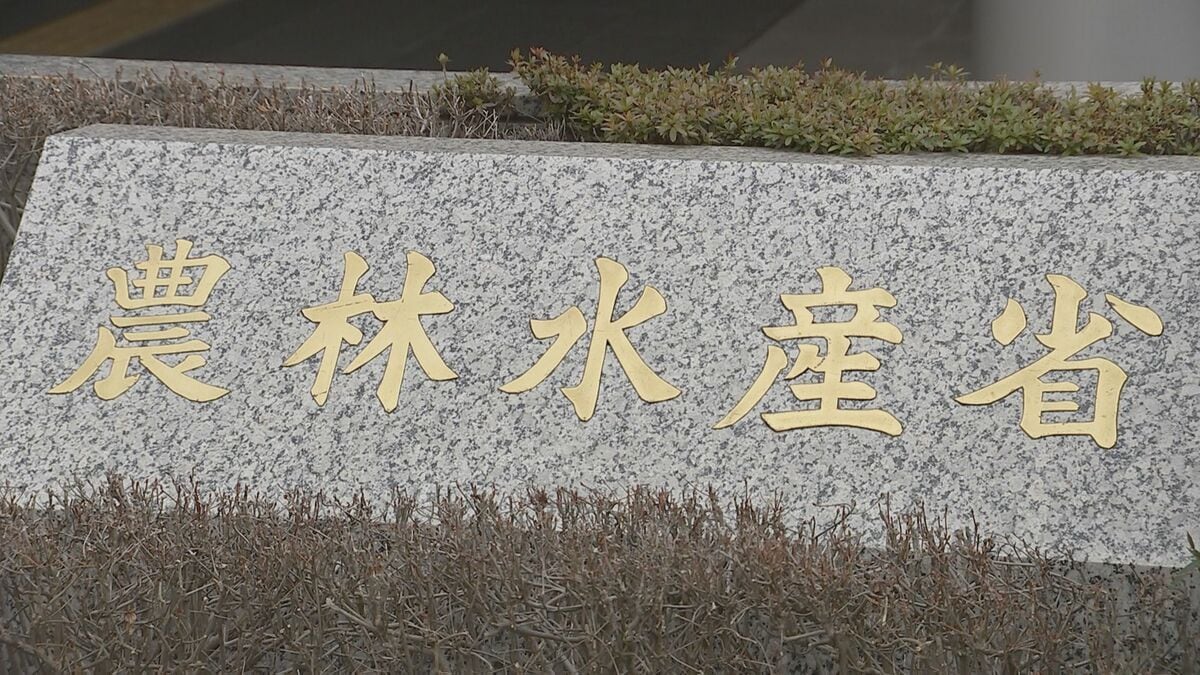 外食分野の「特定技能1号」外国人材の受け入れを来月13日から一時停止　農水省と入管庁 | TBS CROSS DIG with Bloomberg
