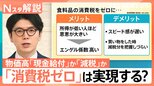 物価対策に「現金給付」や「減税」の案が浮上 食料品の“消費税ゼロ”の実現度はどのくらい?【Nスタ解説】|TBS NEWS DIG