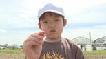 「植えるの難しかった」落花生の産地 児童が種まき体験 大分・豊後高田市|TBS NEWS DIG