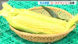 『ゴールドラッシュ』例年以上にフルーティーな香りと甘味は「食べた瞬間から抜群!」一粒一粒が黄金のようなトウモロコシをぜひ|TBS NEWS DIG