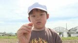 「植えるの難しかった」落花生の産地 児童が種まき体験 大分・豊後高田市 | 大分のニュース|OBS NEWS|大分放送