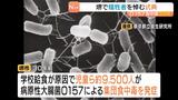 児童ら約９５００人が発症「Ｏ１５７集団食中毒」から３０年…学校関係者ら犠牲者に黙祷を捧げる　大阪・堺市|TBS NEWS DIG